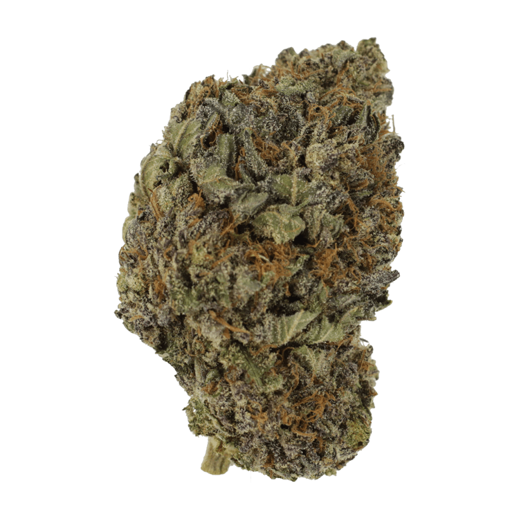 Black Diamond | BC Weed Edible Canada Black Diamond | BC Weed Edible Canada