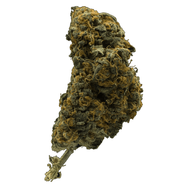 BC CBD | BC Weed Edible Canada BC CBD | BC Weed Edible Canada