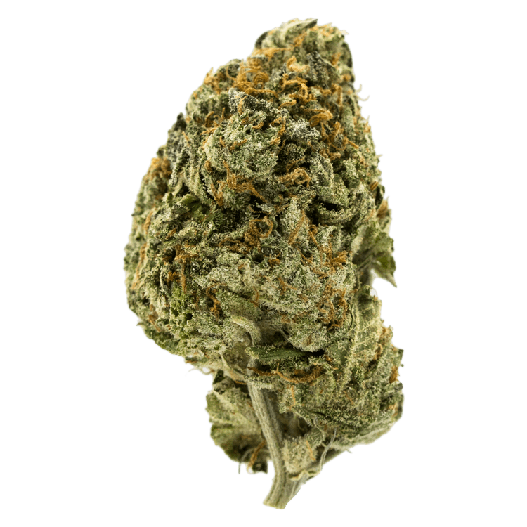 Grape LA | BC Weed Edible Canada Grape LA | BC Weed Edible Canada