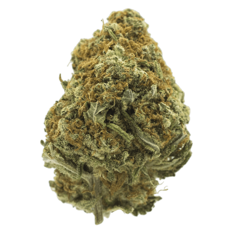 Cappuccino 420 | BC Weed Edible Canada Cappuccino 420 | BC Weed Edible Canada