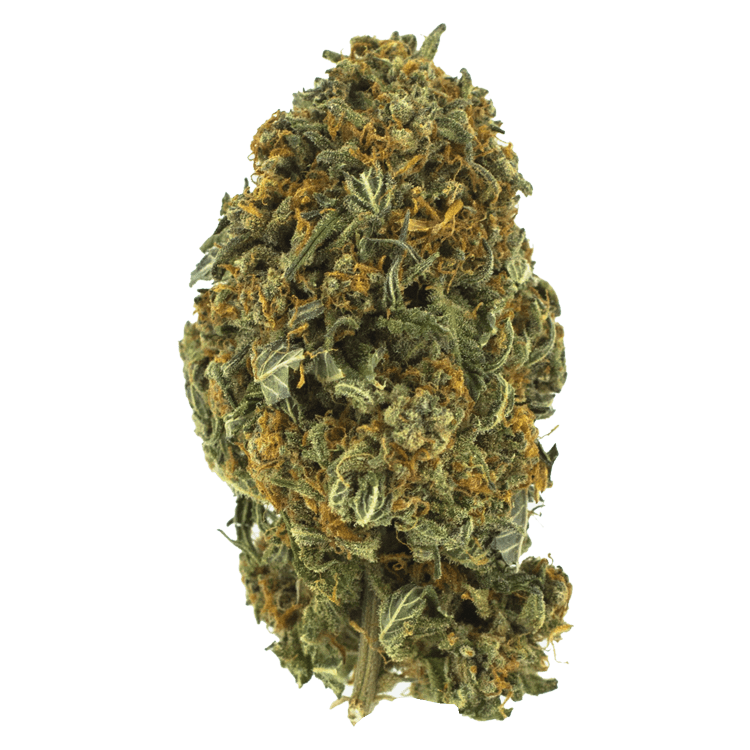 Night Nurse – 1 ounce | BC Weed Edible Canada Night Nurse – 1 ounce | BC Weed Edible Canada