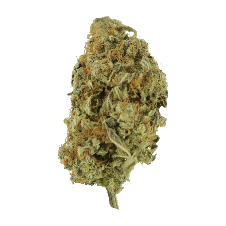 Lollypop – 1 ounce | BC Weed Edible Canada Lollypop – 1 ounce | BC Weed Edible Canada