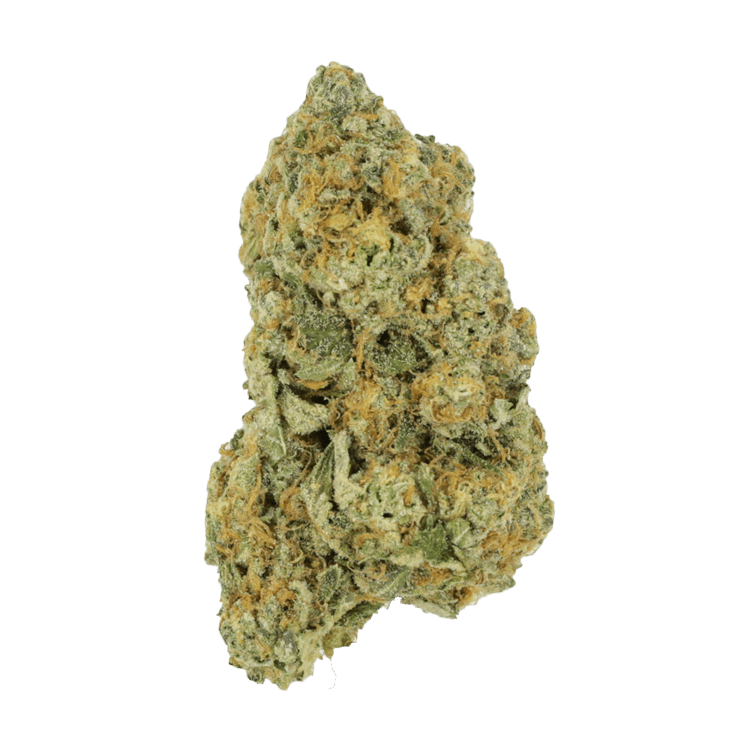 Black Cherry Punch | BC Weed Edible Canada Black Cherry Punch | BC Weed Edible Canada