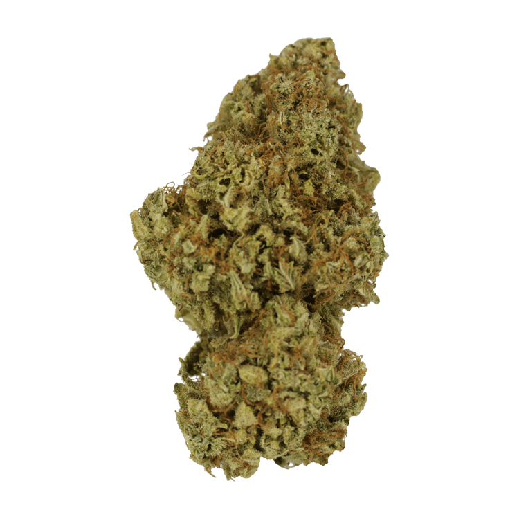 Sour Amnesia | BC Weed Edible Canada Sour Amnesia | BC Weed Edible Canada