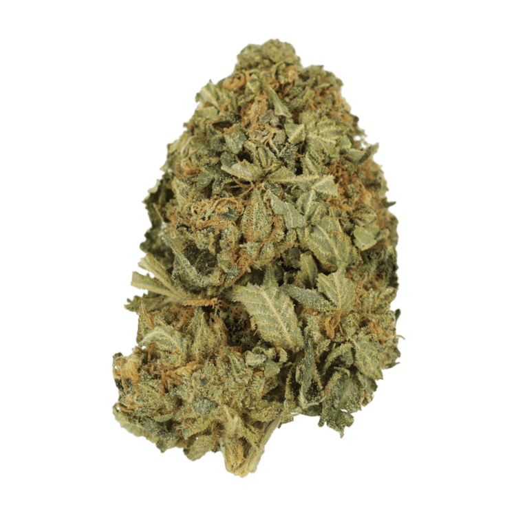 G13 | BC Weed Edible Canada G13 | BC Weed Edible Canada