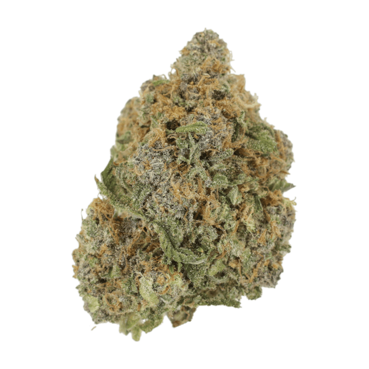 Jagermeister | BC Weed Edible Canada Jagermeister | BC Weed Edible Canada