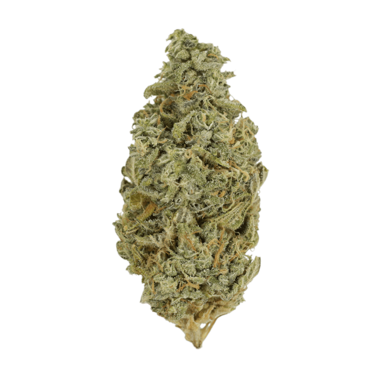 Orange Cookies | BC Weed Edible Canada Orange Cookies | BC Weed Edible Canada