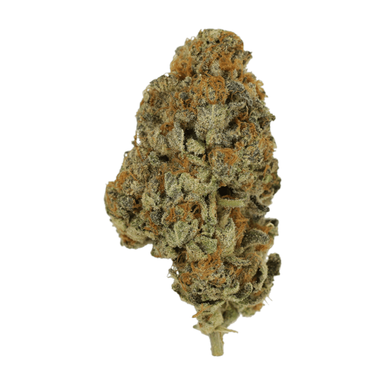 Key Lime Pie | BC Weed Edible Canada Key Lime Pie | BC Weed Edible Canada