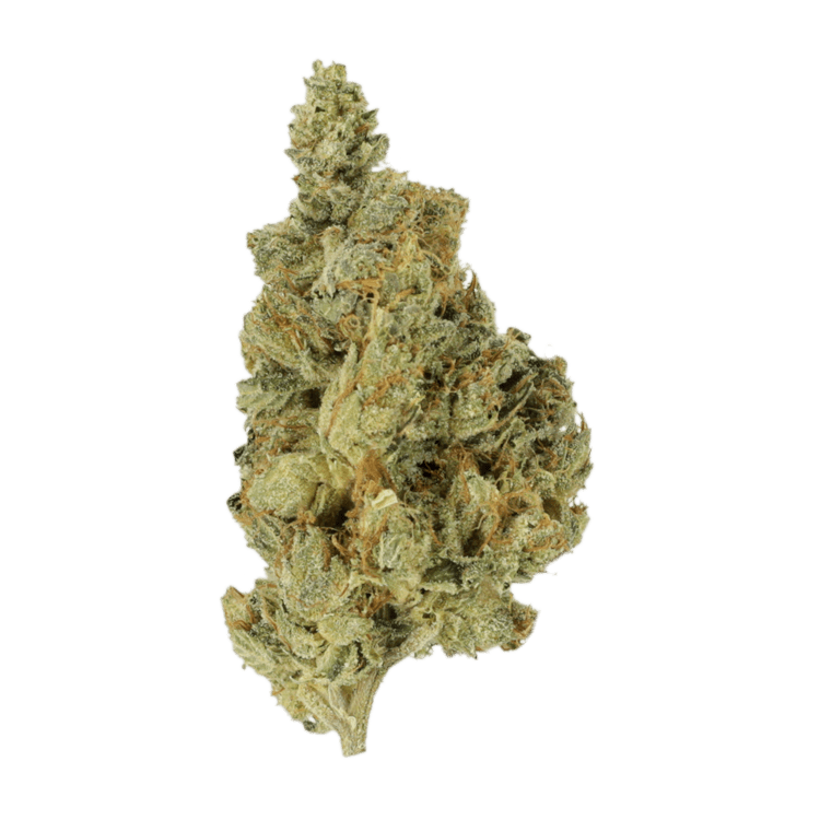 Berry Pie | BC Weed Edible Canada Berry Pie | BC Weed Edible Canada