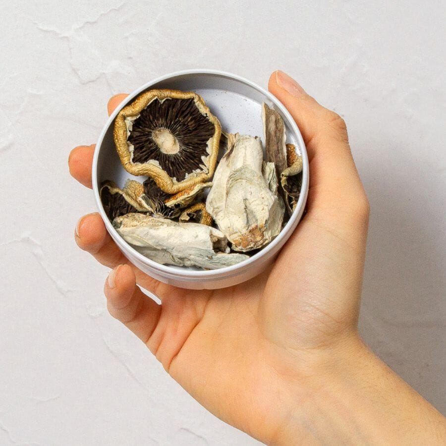 Mushroom Sample Pack – 14g – Save 20% | BC Weed Edible Canada Mushroom Sample Pack – 14g – Save 20% | BC Weed Edible Canada