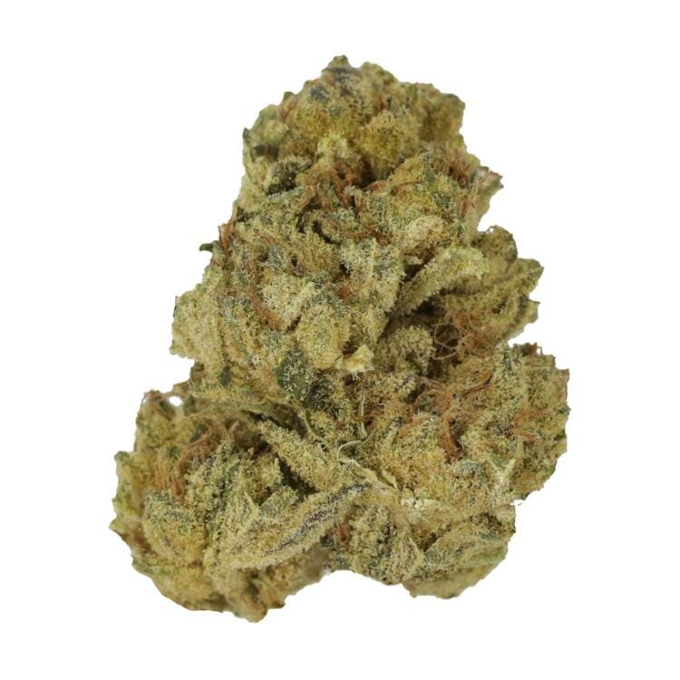 Chimp Mintz | BC Weed Edible Canada Chimp Mintz | BC Weed Edible Canada